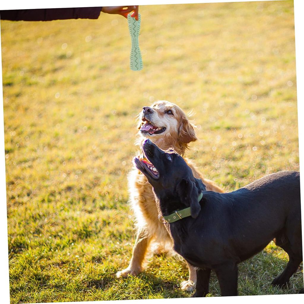 Haustier Zähneknirschen Trainingsstock Auslaufsicheres Spielzeug Zähneknirschen Reinigungsstock Verschleißfest Bissfest Leicht zu reinigendes Material Sicher Ungiftig Trainingsspielzeug