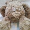 [USED] GUND Teddy Bear Plush Toy