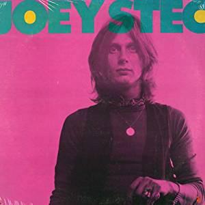 

CD JOEY STEC - Joey Stec STEC4547 Loki Records 1995 US Rock Used