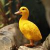 2 Pcs/Pair Creative Home Garden Balcony Courtyard Decoration Animal Floating Water Yellow Duck Ornament Resin Crafts