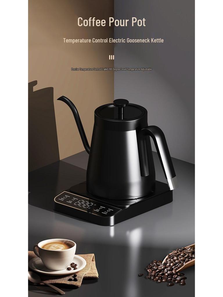 Kaffekanna och tekanna i rostfritt stål med temperaturkontroll och svanhals med precisionspip