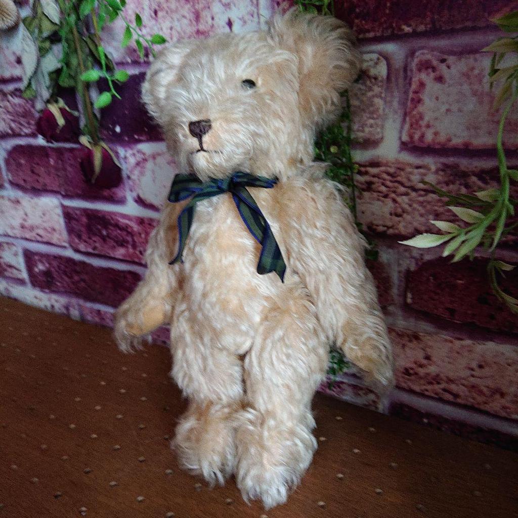 [USED] Vintage Teddy Bear, Artist Unknown