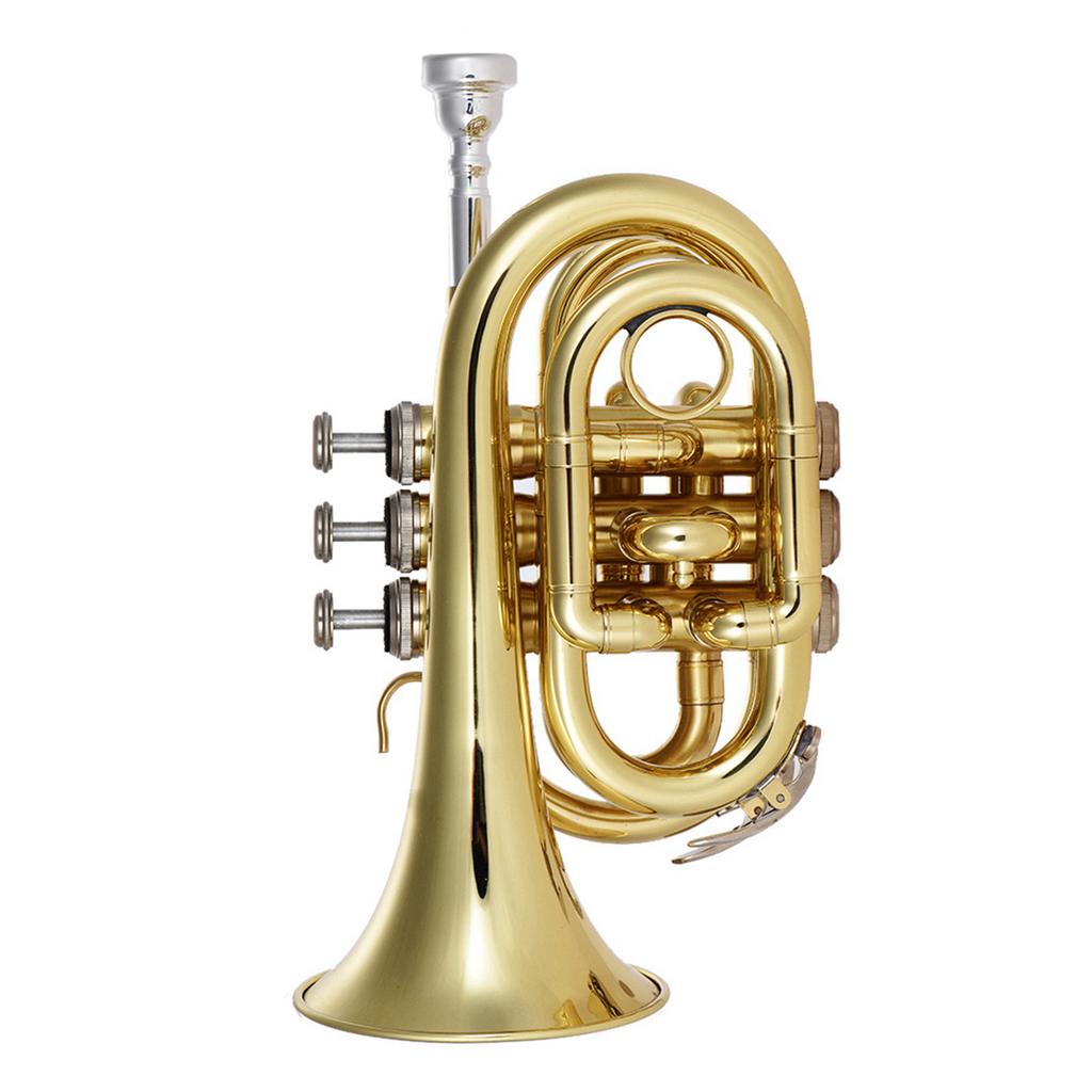 Ammoon Mini Pocket Trumpet Bb Flat Brass Wind Instrument with Mouthpiece Gloves Cleaning Cloth Carrying Case