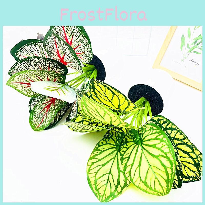 Simulated Epipremnum Aureum And Dasheen Leaves Potted For Home And Events