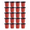 20 Pcs Small Plant Pot Nursery Pots Starter Plastic Planter Succulent Vintage Flower Necessities Indoor