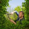 GARDENA NatureCut Pruning Product Up to 25 Years 12300-20 Shears, 53.5cm, Warranty