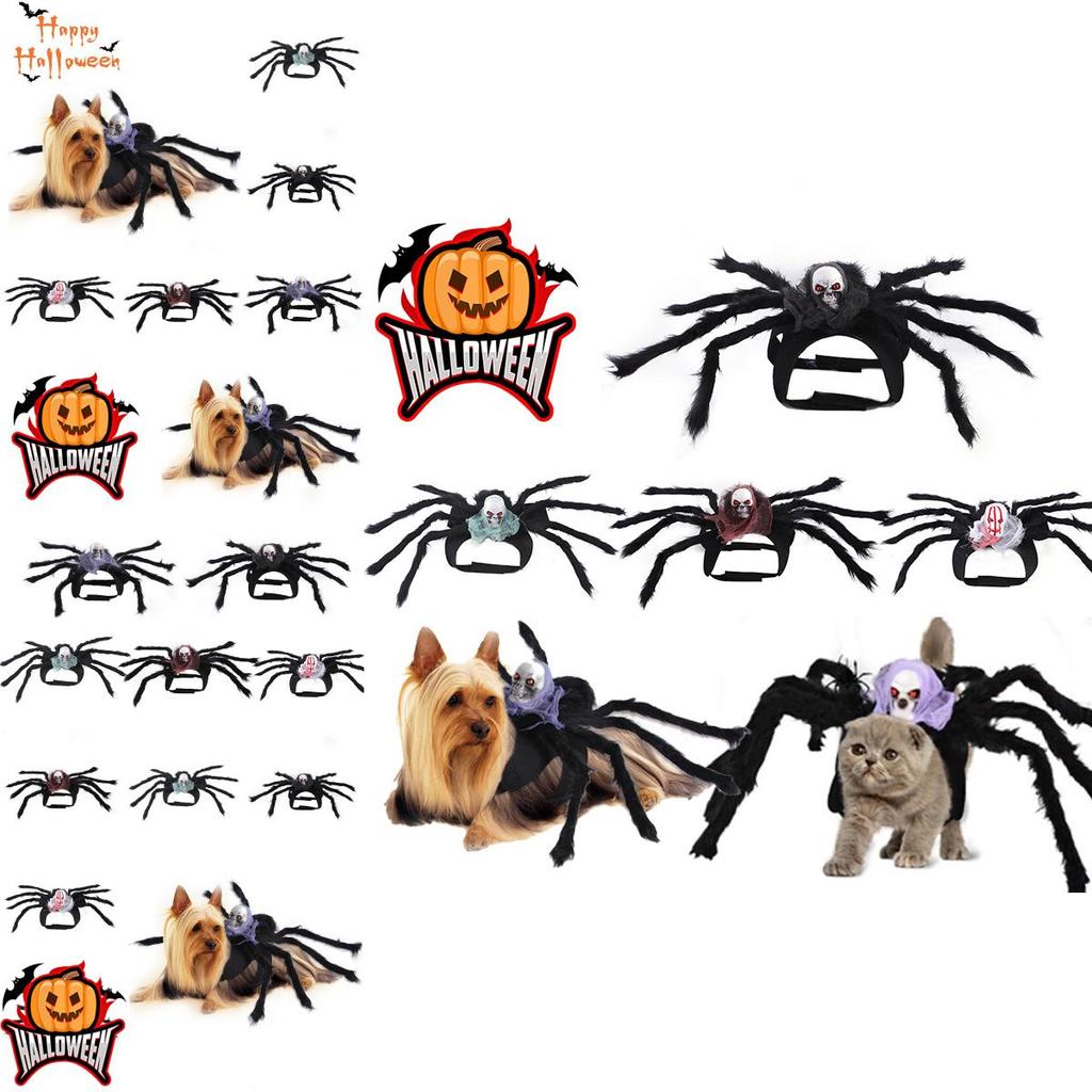 Cute Pet Spider Costume For Halloween Party