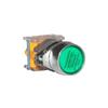 Zhengtai LAY39 Non-Illuminated Push Button