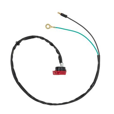 Apparecchi elettrici per auto – Interruttori