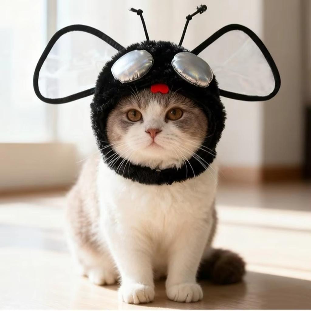 Funny Fly Hat Costume for Cats Dogs Cute Pet Dress Up Decorative Hat