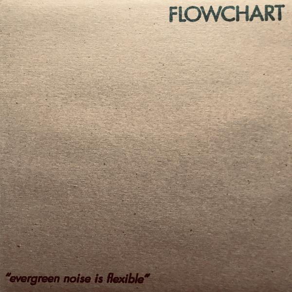 

12inch Record FLOWCHART - Evergreen Noise Is Flexible SAKI012 Fuzzy Box Recor 1996 US Rock Used