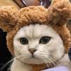 Warm Comfortable Pet Accessories Cat Hat Puppy Cap Headgear Short Plush Bear