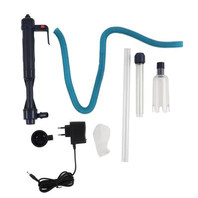 Pesci e animali marini – Manutenzione acquario