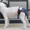 Adjustable Denim-Style Female Dog Menstrual Panties Medium To Large Breeds Cotton Underwear