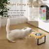 Elevated Cat Bowls with 3 Stainless Steel Bowls | 10° Tilted Anti-Vomiting Raised Cat Food Bowl for Small Cats and Puppies Pet Bowl with Stand