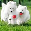 Pet Dog Puppy TPR Bouncing Ball Bite Resistant Molar Training Chew Play Toy