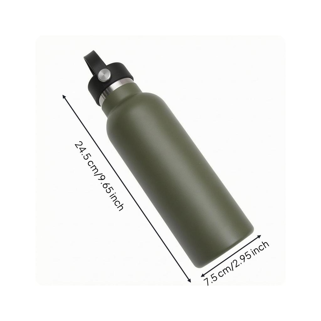 Insulated Water Bottle with Loop Cap Safe Materials for Gym