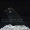 Unboxing Crow Plush Toy Adorable Realistic Crow Ornament Kids Girl Birthday Gift