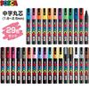 Mitsubishi Pencil Posca Medium Round Tip 29 Colors Complete Set