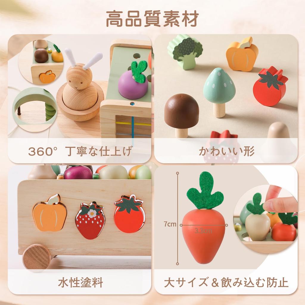 Promise Babe Shape Matching Wooden Puzzle with Carrot and Magnetic Bug Educational Montessori Toy with Shape Rabbit and Farm and Shape Wooden Toy for