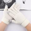 Warm Touch Screen Gloves for Autumn and Winter Men's and Women's Thick Velvet Gloves Anti Cold Jacquard Gloves Knitted Gloves