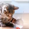 USB Rechargeable Smart Rotating Cat Toys Electric Kitten Rotating Toy  Relieve Boredom