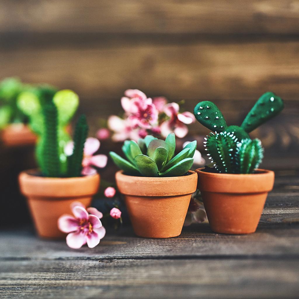 20 Pcs Mini Clay Planter 1.2 Inch Terracotta Pots Small Plant And Flower Pots