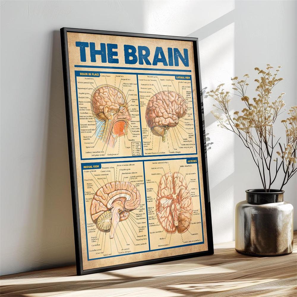 Trauma Brain Processing Poster Brain Anatomy Print Mental Health Wall Art Nervous System Canvas Painting Brain Anatomy Poster