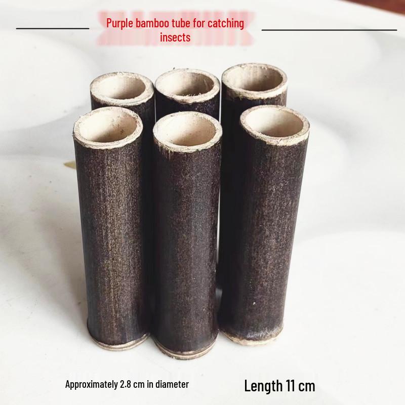 Large Purple Bamboo Cricket Jar and Tube Set