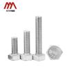 304 Stainless Steel Hexagon Head Bolt