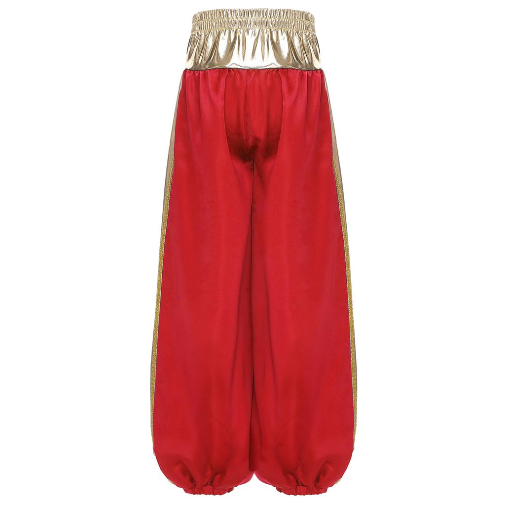 Boys Arab Prince Cosplay Costume 2Pcs: Loose Vest & Metallic Shiny Patchwork Bloomers Harem Pants Outfit for Halloween Party