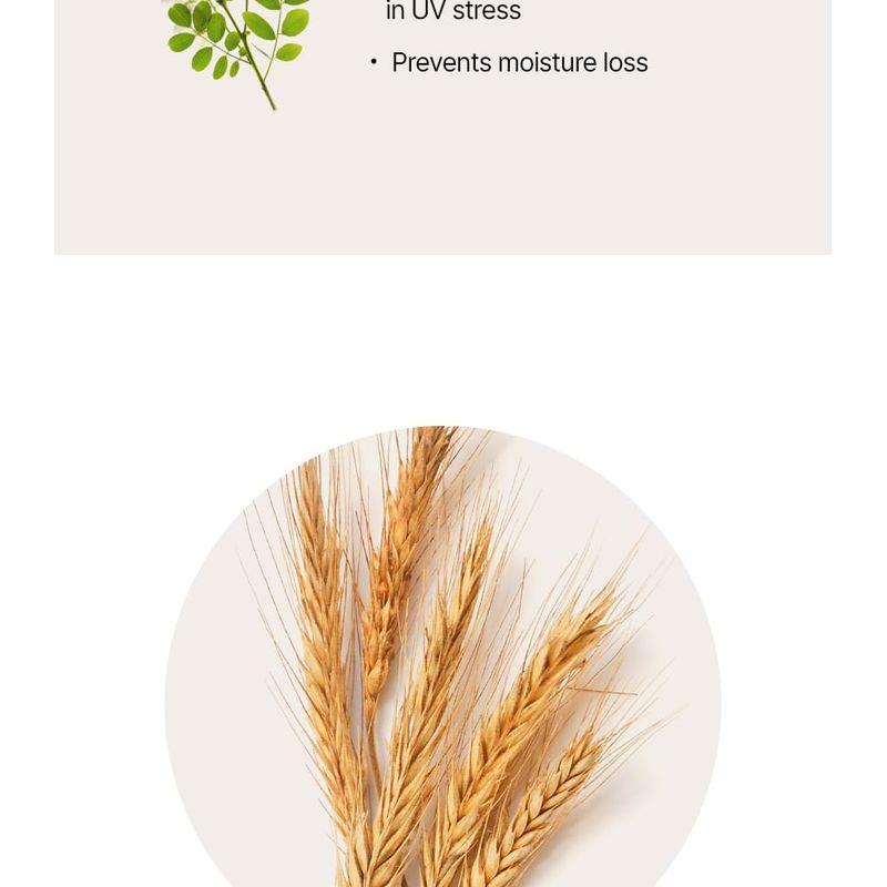 MD'S PICK - De Barista Fragrance Free Hand Cream Ultra Jumbo