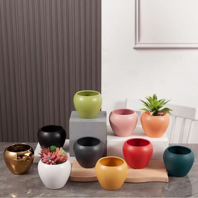 Einfache Farbige Blumentopf Keramik Sukkulenten Topf Pflanzer Wohnkultur Innen Dekoration Desktop Ornamente Bonsai Blumentopf