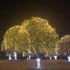 EU Plug LED Net Mesh String Light Waterproof Curtain Light  Christmas Decorations