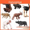 Collection de Modèles d'Animaux en PVC Présentant Sanglier Autruche Et Orang-outan Pour Enfants Et Passionnés