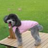 1PC Simple Pet Clothes Dog Cat Clothing Cotton-padded Teddy Small Dog, Autumn and Winter Models