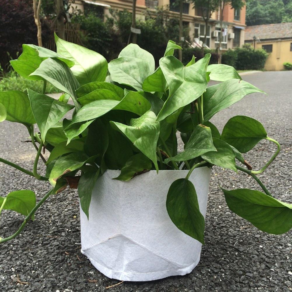 Fabric Pots Plant Pouch Root Container Grow Bag Aeration Garden Container Iy Fabric Pots Plant Pouch Root Container Grow Bag Aeration Garden Container Iy