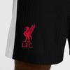 Nike Liverpool Dri-FIT ADV F.C. 2024/25 Match Third Soccer Pants Men Pants Black White Global-Red FQ2044-010