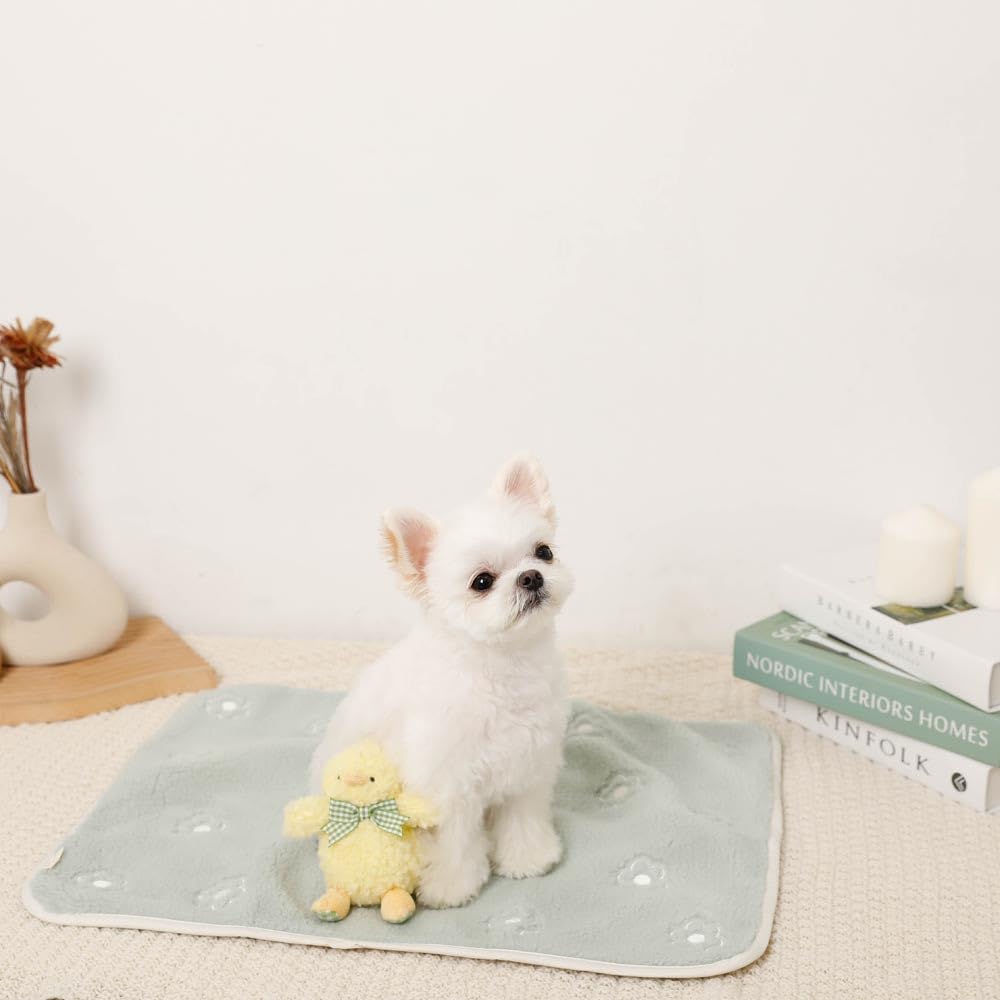 Gingham Check Ribbon Plush Squeak Toy for Small and Medium Dogs Popular Brand for Toy Poodles and Chihuahuas monchéri "Chick Toy" (FREE/Yellow) Cute,