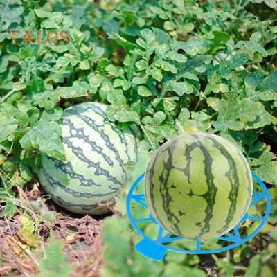 10 stk. Vandmelonholder Stand Genanvendelig Have Vandmelonholder Espalier Vejrbestandig Planteunderstøtning Bakke til Vandmelon Græskar Cantaloupe