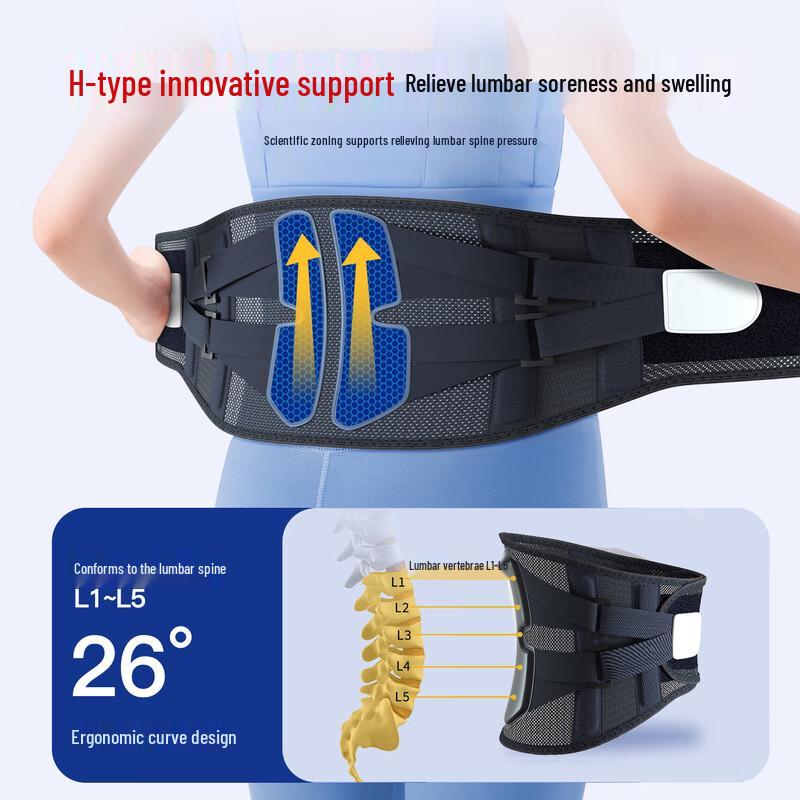 

PROPARD Medical-Grade Lumbar Support Waist Belt M