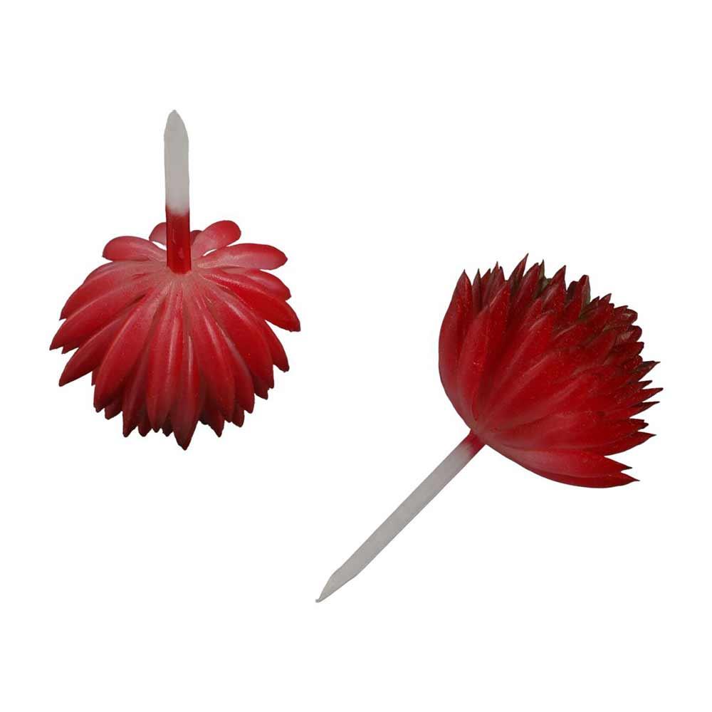 2pcs Colorful Fake Plant Plastics Artificial Flower Artistic Echeveria Chihuahuaensis  Home Decor