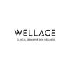 Wellage Real Hyaluronic Blue 100 Ampoule 75ml 1+1 Set