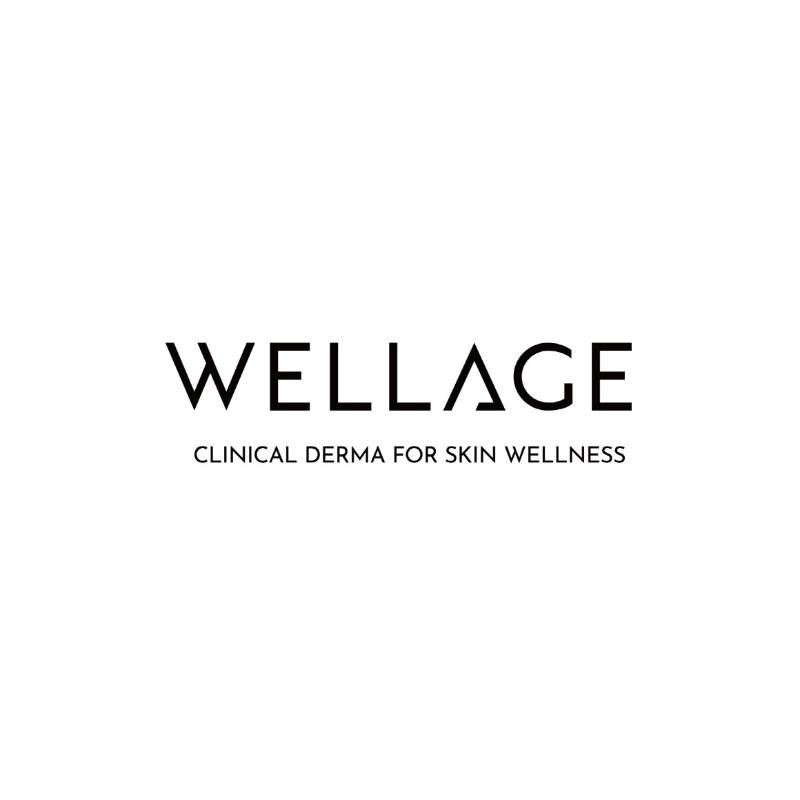 Wellage Real Hyaluronic Blue 100 Ampoule 75ml 1+1 Set