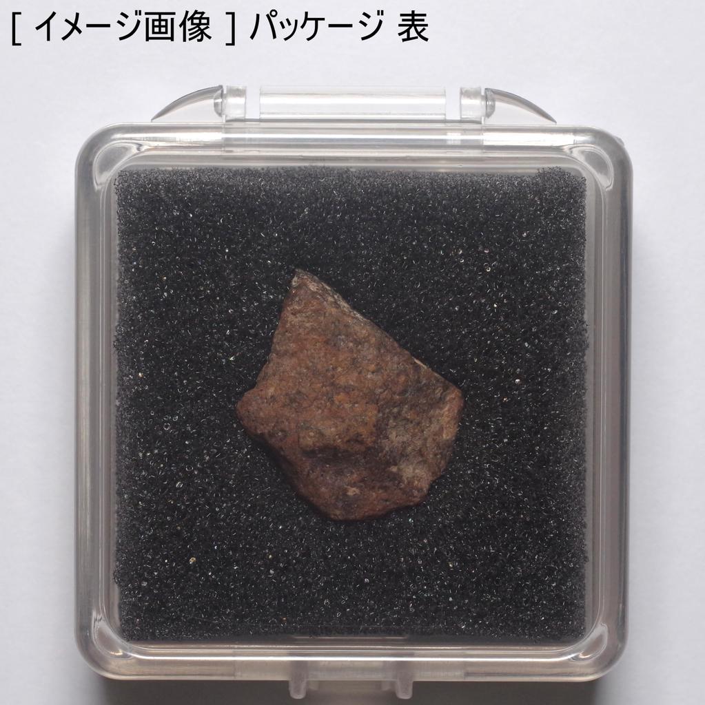 stone meteorite specimen NWA stone [N2 Natural] (#7 - (Unclassified) meteorite)