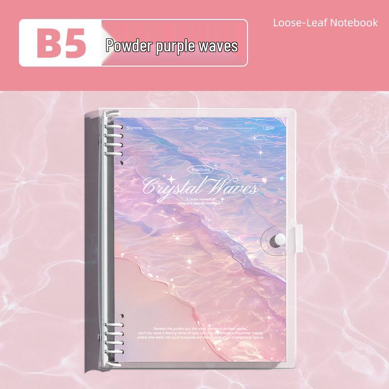 Detachable Transparent Leather Binder with 5 Notebooks for High School Students - 2026 Edition