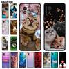 Coque de téléphone pour TCL 501 Coque TCL501 Chat peint Housse de protection en silicone pour TCL 501 T433D 2024 Pare-chocs Protecteur Fundas Coque