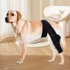 Pet Adjustable Joint Protection Covers Comfortable Breathable Dog Knee Brace Rear Leg Brace Dog Arthritis Protector Leg Wrap
