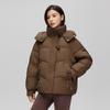 Women's Autumn and Winter Coat Solid Color Stand Collar Hooded Loose Short Thickened Windproof Women's Jacket