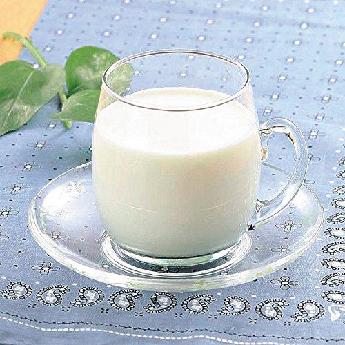 Wahei Freiz Soleado Yogurt Maker SO-161